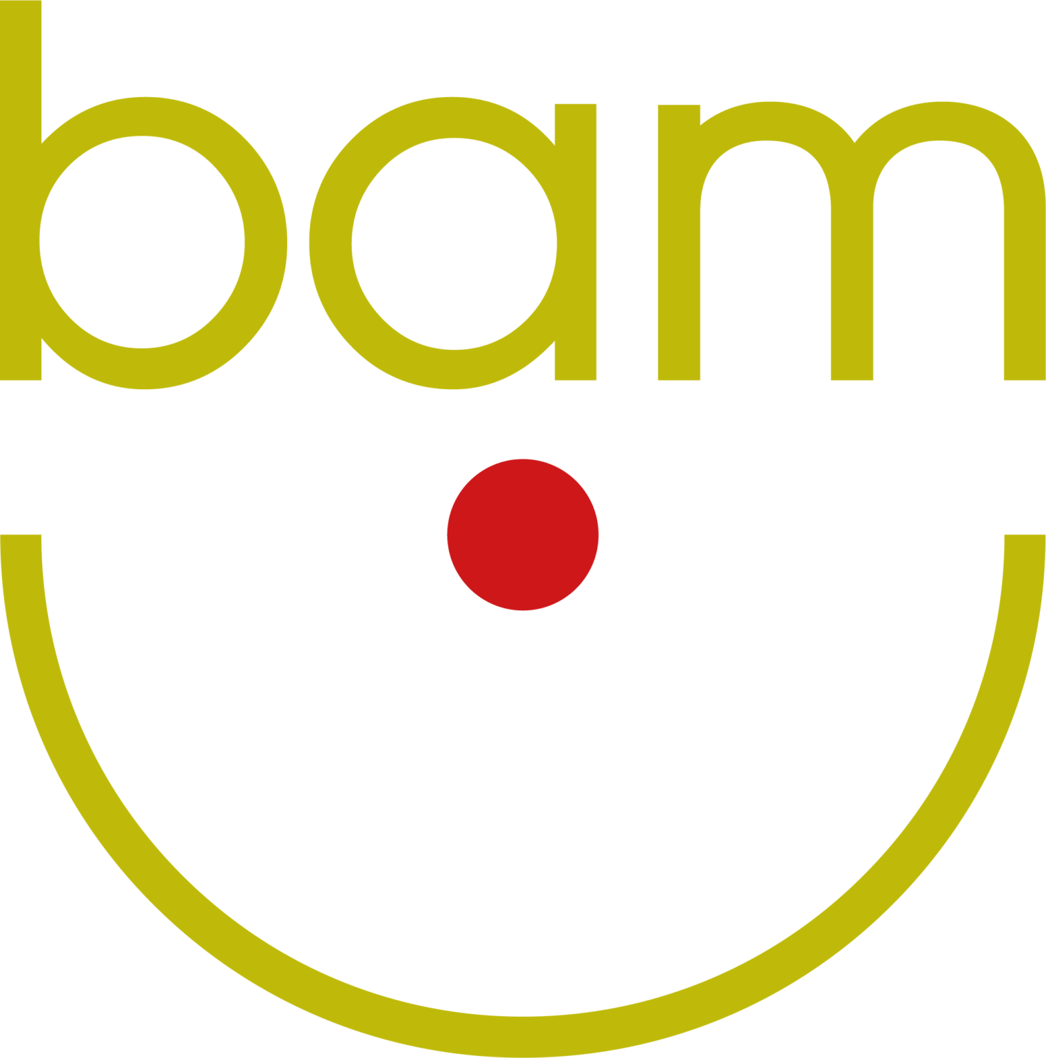 BAMLogo.png (0.1 MB)